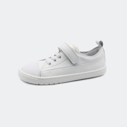 Ancla Sneakers