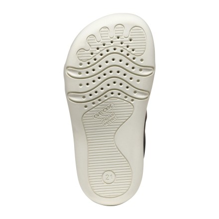 Steppieup Navy Sneakers