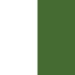 White/Khaki Green