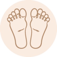 Adultos