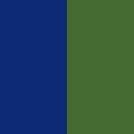 Azul Marinho/Verde Caqui
