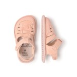 Sandlias Calpe Feroz