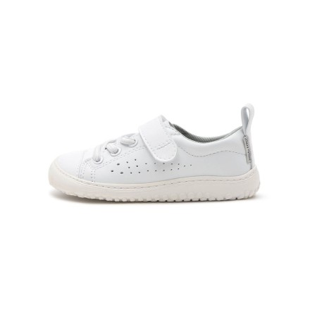 Paterna Sneakers Rocker