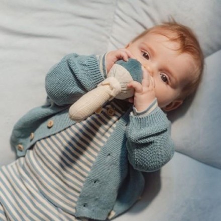 Rattle Toy Forest Friends