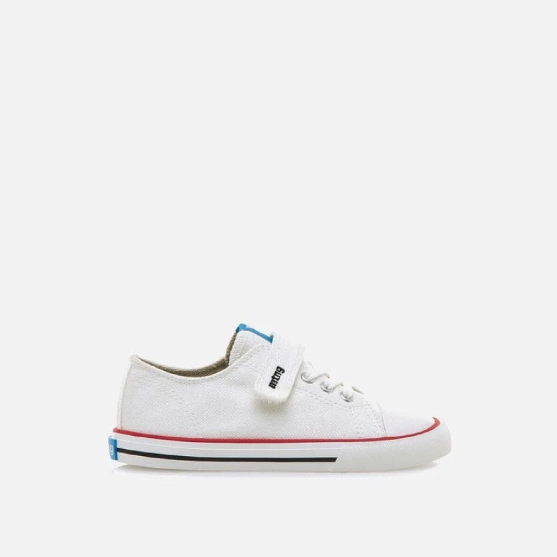 Free Canvas Sneakers