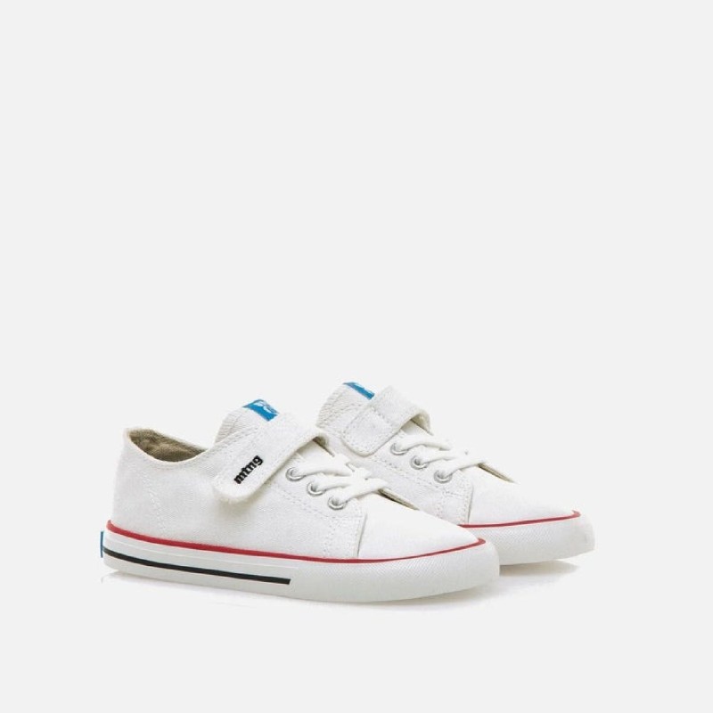 Free Canvas Sneakers