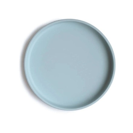 Suction plate