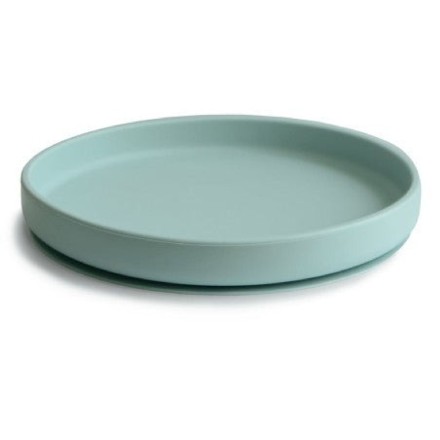 Suction plate