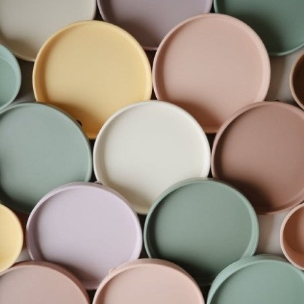 Suction plate