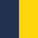 Navy Blue/Yellow