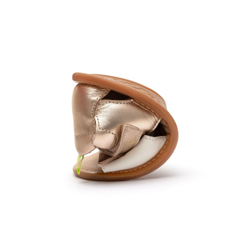Sand�lias Toucan