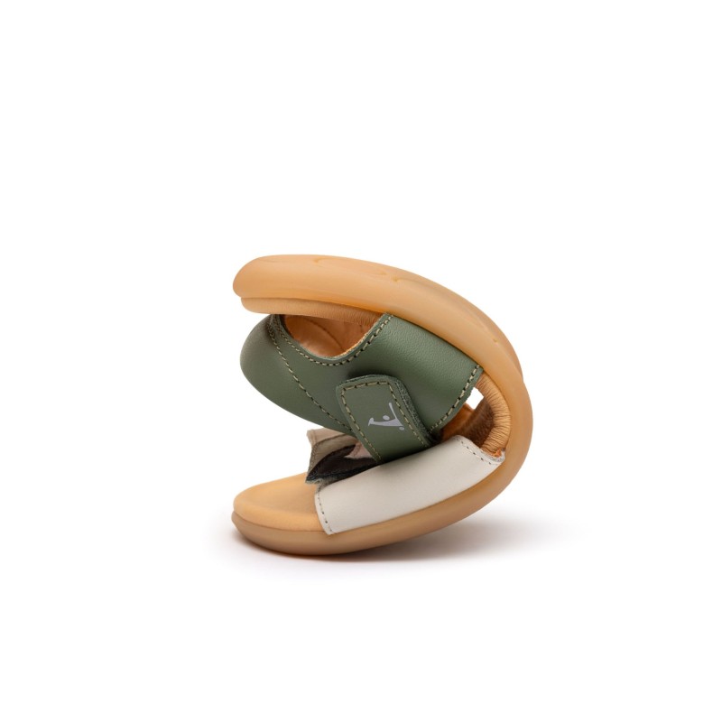 Sand�lias Toucan