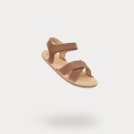 Walnut Brown Walnut Brown