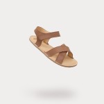 Walnut Brown Walnut Brown