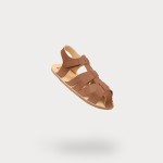 Walnut Brown Walnut Brown
