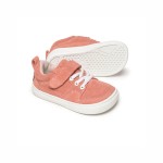 Sneakers Cheste Rocker