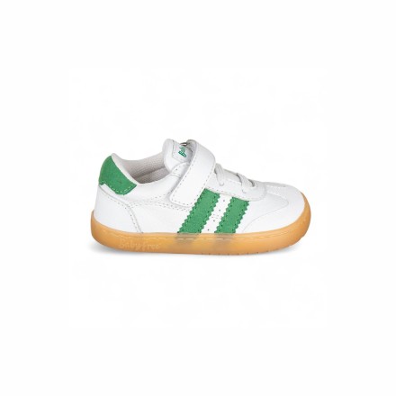 Chicago Sneakers - Image product