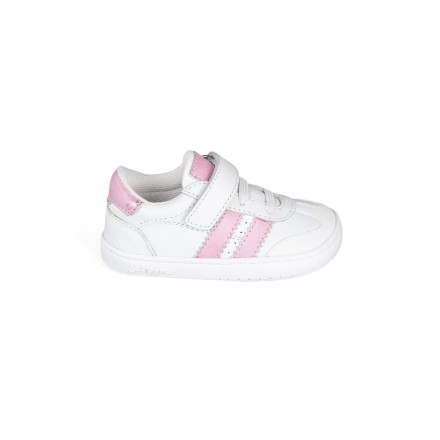 Chicago Sneakers - Image product