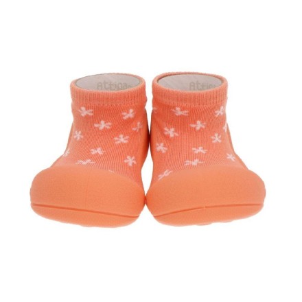 Summer Time Salmon Attipas - Image product