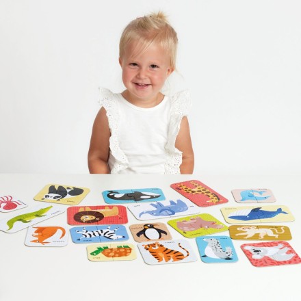 Puzzle Pairs