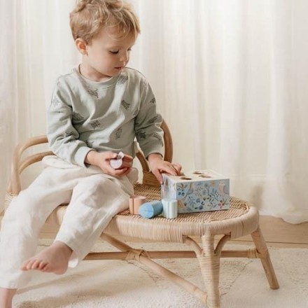 Shape Sorting Box