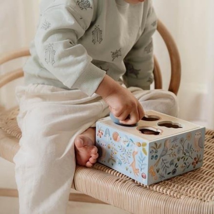 Shape Sorting Box