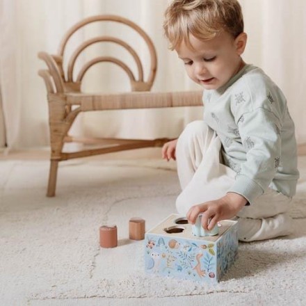 Shape Sorting Box