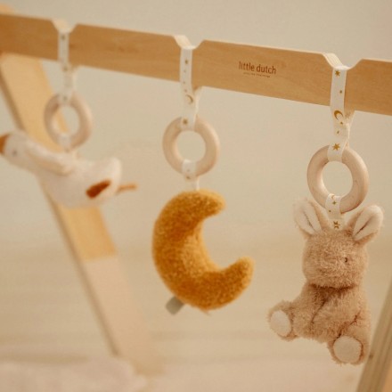 Newborn Naturals Babygym