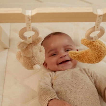 Newborn Naturals Babygym