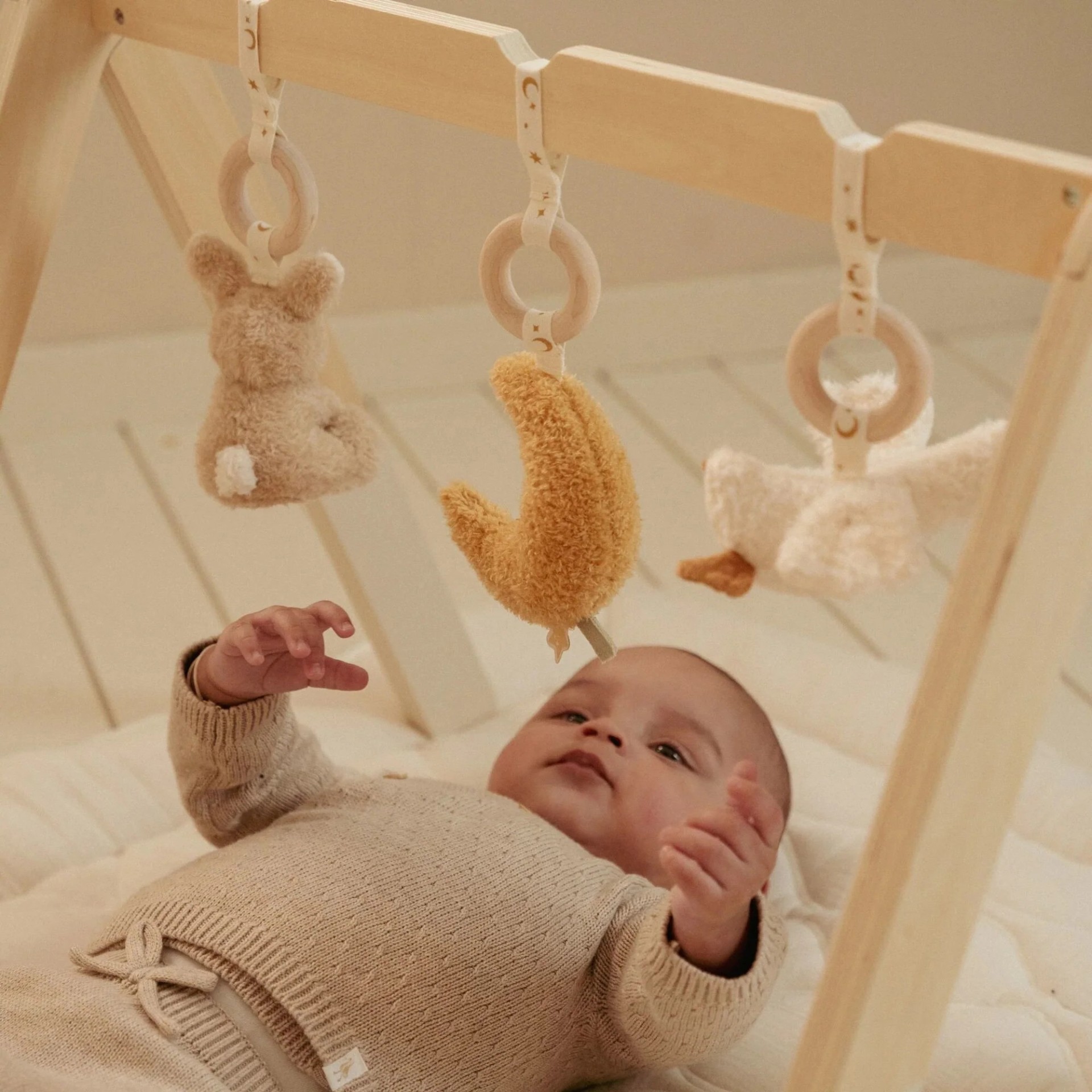 Babygym Newborn Naturals