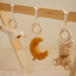 Babygym Newborn Naturals