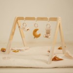 Babygym Newborn Naturals