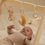 Babygym Newborn Naturals
