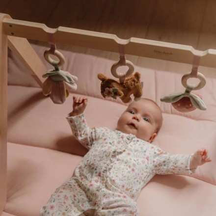 Fairy Garden Babygym