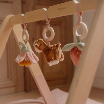 Fairy Garden Babygym