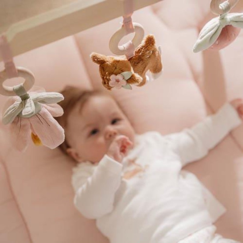 Babygym Fairy Garden