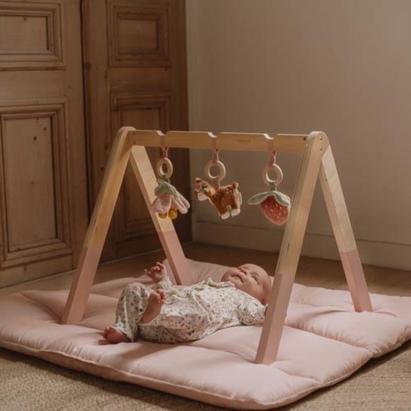 Babygym Fairy Garden