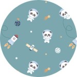 Pandas In Space Pandas In Space