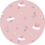 Blossom Birds Blossom Birds
