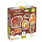 Forest Animals Forest Animals