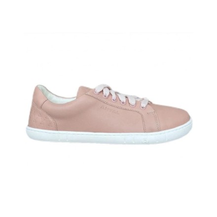 Amada Sneakers - Image product