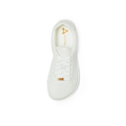 Amada Sneakers