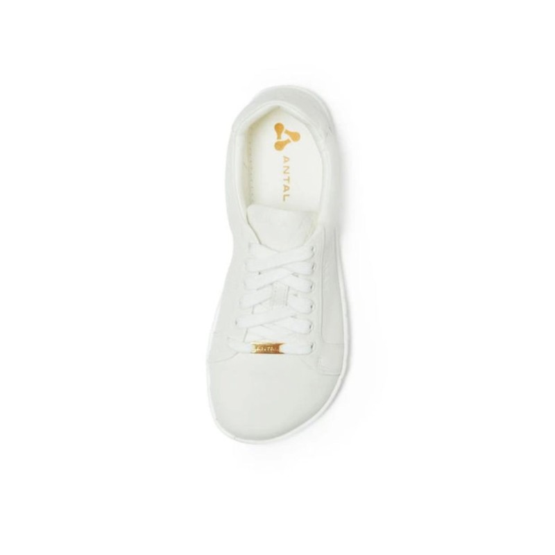Amada Sneakers