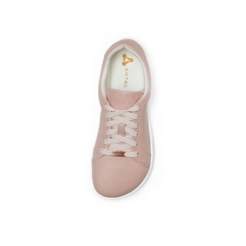 Amada Sneakers