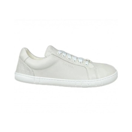 Amada Sneakers - Image product