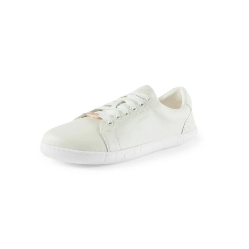 Amada Sneakers