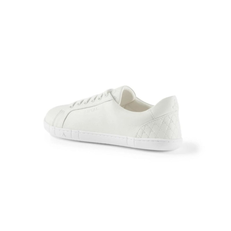 Amada Sneakers