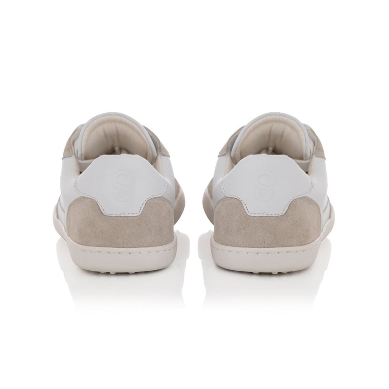 Wind Sneakers
