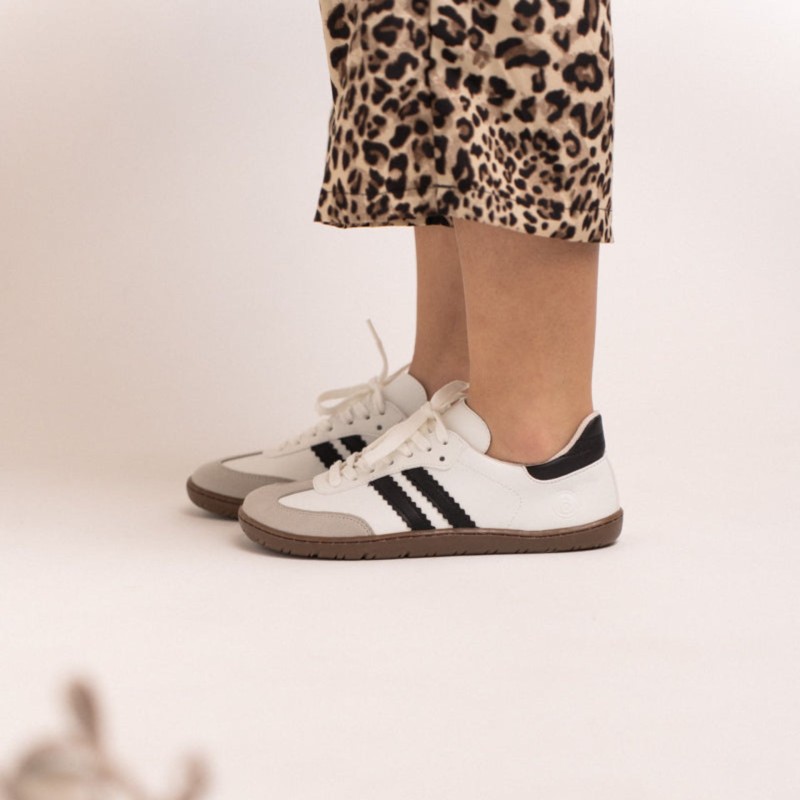 Adam Sneakers