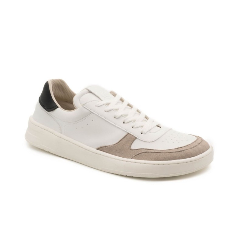 Axis Sneakers